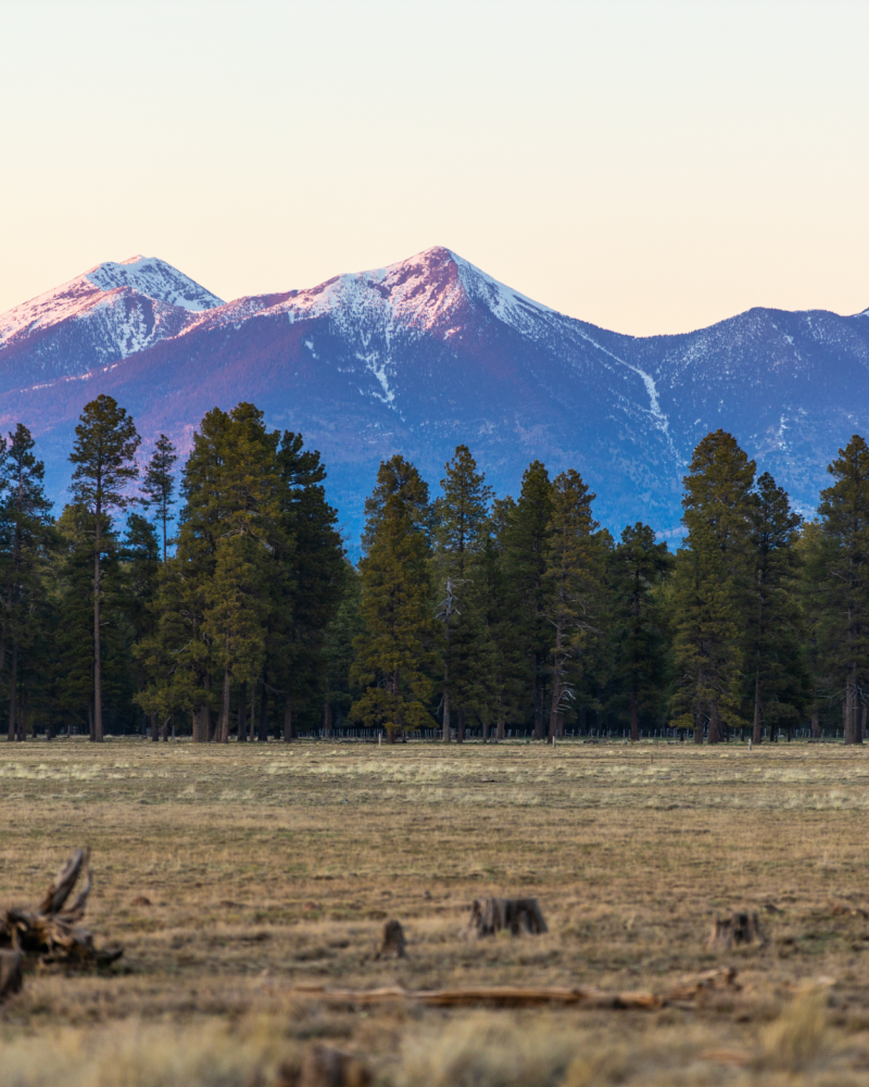 Flagstaff-Spring-Bluesy-Traveler